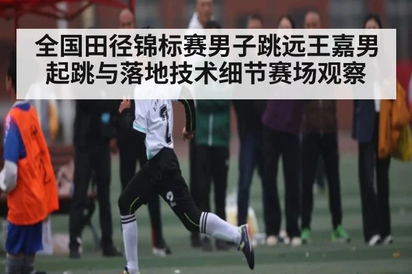 全国田径锦标赛男子跳远王嘉男起跳与落地技术细节赛场观察